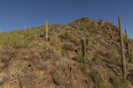 photo thumbnail #9