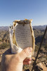 photo thumbnail #15