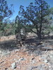 photo thumbnail #9