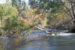photo thumbnail #4