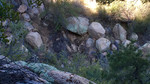 photo thumbnail #6