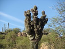 photo thumbnail #3
