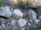 photo thumbnail #3
