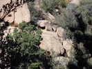 photo thumbnail #4