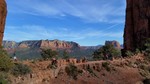 2016-11-12 :1: Bell Rabbit Chicken Hog Church Cathedral :: The_Eagle