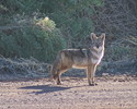photo thumbnail #8