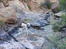 photo thumbnail #7