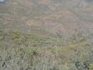photo thumbnail #15