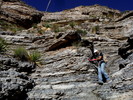 photo thumbnail #7
