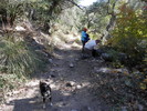 photo thumbnail #3