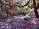 photo thumbnail #12