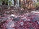 photo thumbnail #13