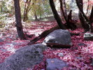 photo thumbnail #14