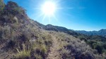 photo thumbnail #1