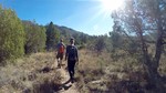 photo thumbnail #1