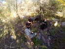 photo thumbnail #3