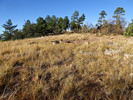 2016-11-11 :1: Aztec Peak and Six Disks :: FLYING_FLIVER