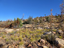 2016-11-11 :1: Aztec Peak and Six Disks :: FLYING_FLIVER