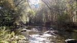 photo thumbnail #11