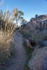 photo thumbnail #3