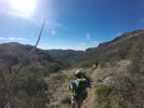 photo thumbnail #4