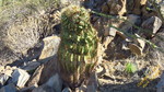 photo thumbnail #13