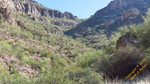 photo thumbnail #14