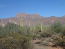 photo thumbnail #1