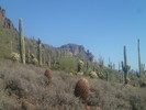 photo thumbnail #3