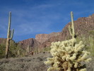 photo thumbnail #7