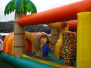 photo thumbnail #5