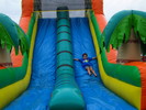 photo thumbnail #7