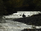 photo thumbnail #12