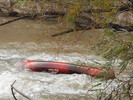 photo thumbnail #9