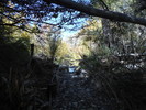 photo thumbnail #13