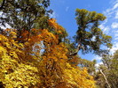 photo thumbnail #5