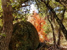 photo thumbnail #7