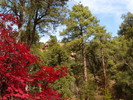 photo thumbnail #9