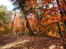 photo thumbnail #11