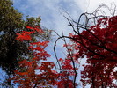 photo thumbnail #13