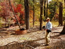 photo thumbnail #15