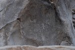 photo thumbnail #15