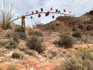 photo thumbnail #6