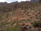 photo thumbnail #11