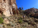 photo thumbnail #7