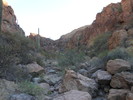 photo thumbnail #1