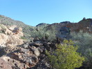photo thumbnail #4