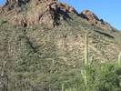 photo thumbnail #1