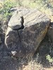 photo thumbnail #12