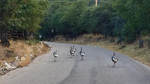 photo thumbnail #13